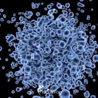 Affordable Stem Cell Therapy in Mexico 